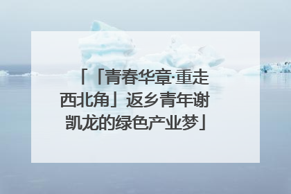 「青春华章·重走西北角」返乡青年谢凯龙的绿色产业梦